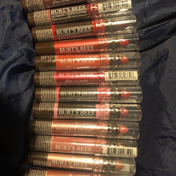 NEW All 12 Burts Bees Lip Crayons with Chrome Carrying Case - Picture 2 of 15